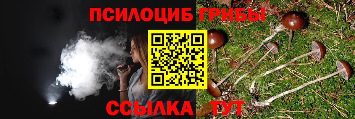 Псилоцибиновые грибы MAGIC MUSHROOMS  Вход с VPN  Миллерово 