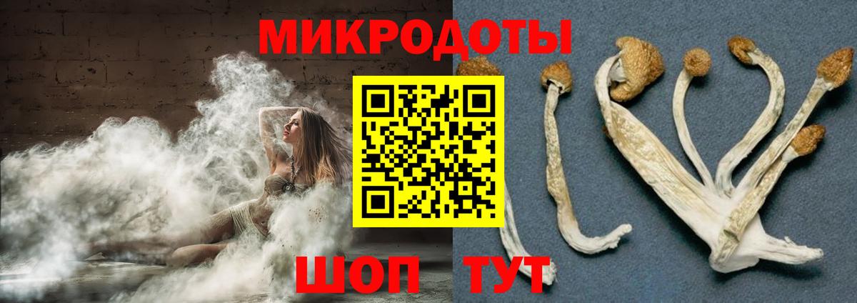 Псилоцибиновые грибы GOLDEN TEACHER Миллерово
